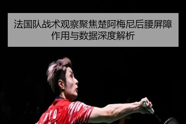 法国队战术观察聚焦楚阿梅尼后腰屏障作用与数据深度解析（kaiyun）